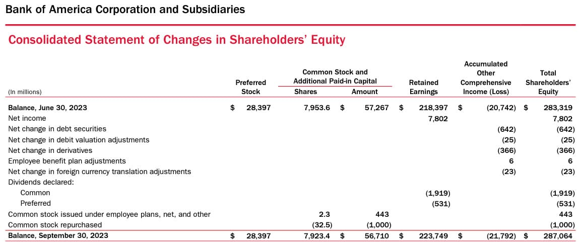Bank of America - Statement of Owner's Equity Detail Bank of America - Statement of Owner's Equity Detail